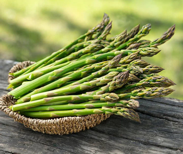 Asparagus (Pack of 10)